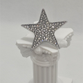 The Luxe Star Brooch